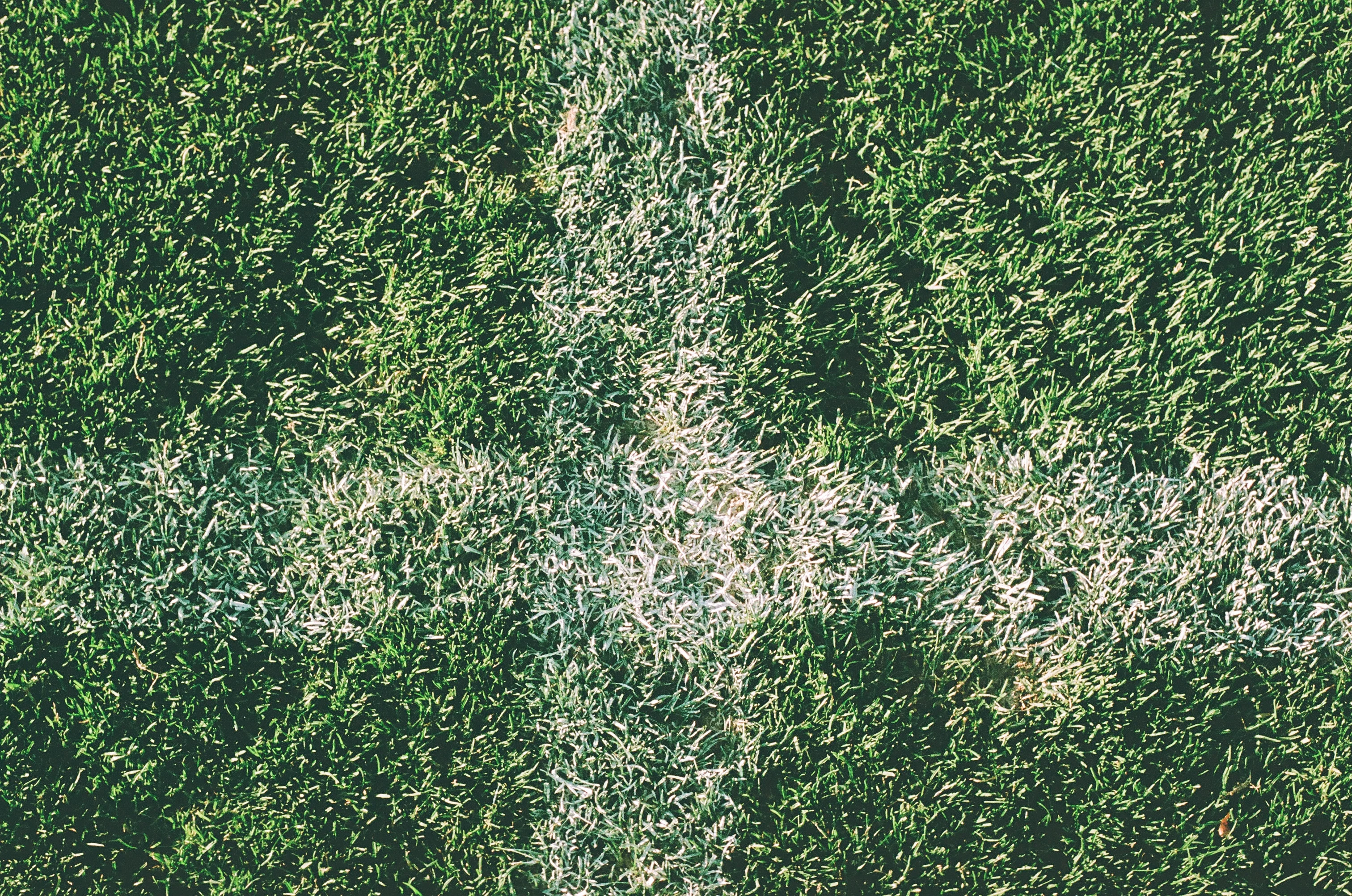 #3_SOCCER_FieldLines_Copyright_AlexandeRothenberg.webp