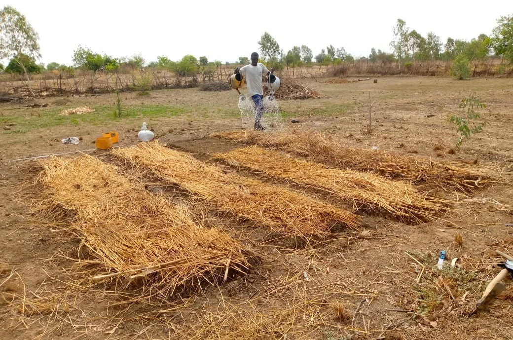 bild-2_gardenbeds_burkina_c.webp