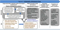 Game Theory Schematic Research Flow