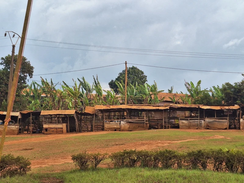 HD4A_FoodVendors@School_Cameroon_CopyrightInaDanquah.webp