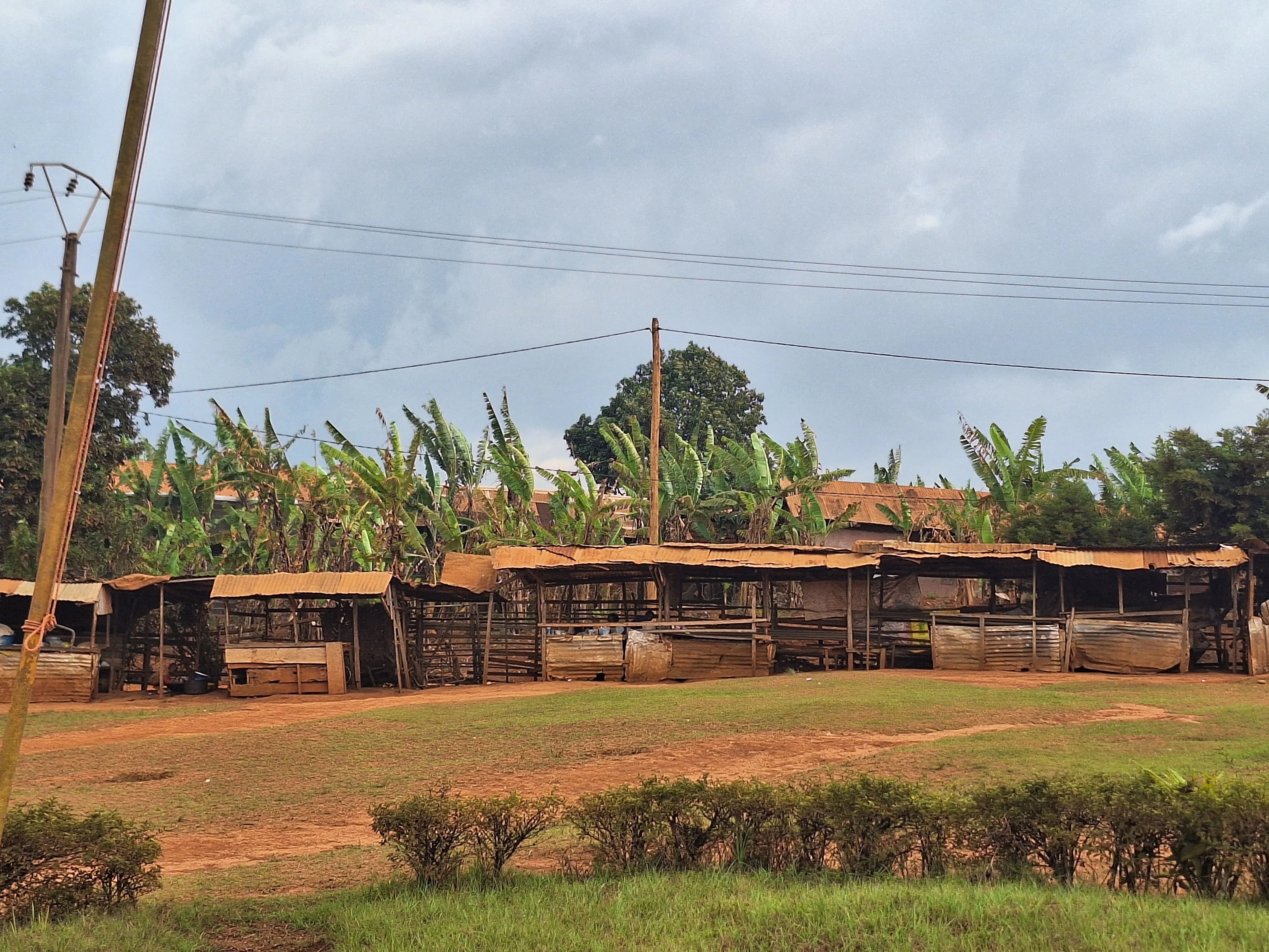 HD4A_FoodVendors@School_Cameroon_CopyrightInaDanquah.webp