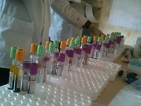 RODAM_BloodSampling_CopyrightEllisOwusu-Dabo.webp