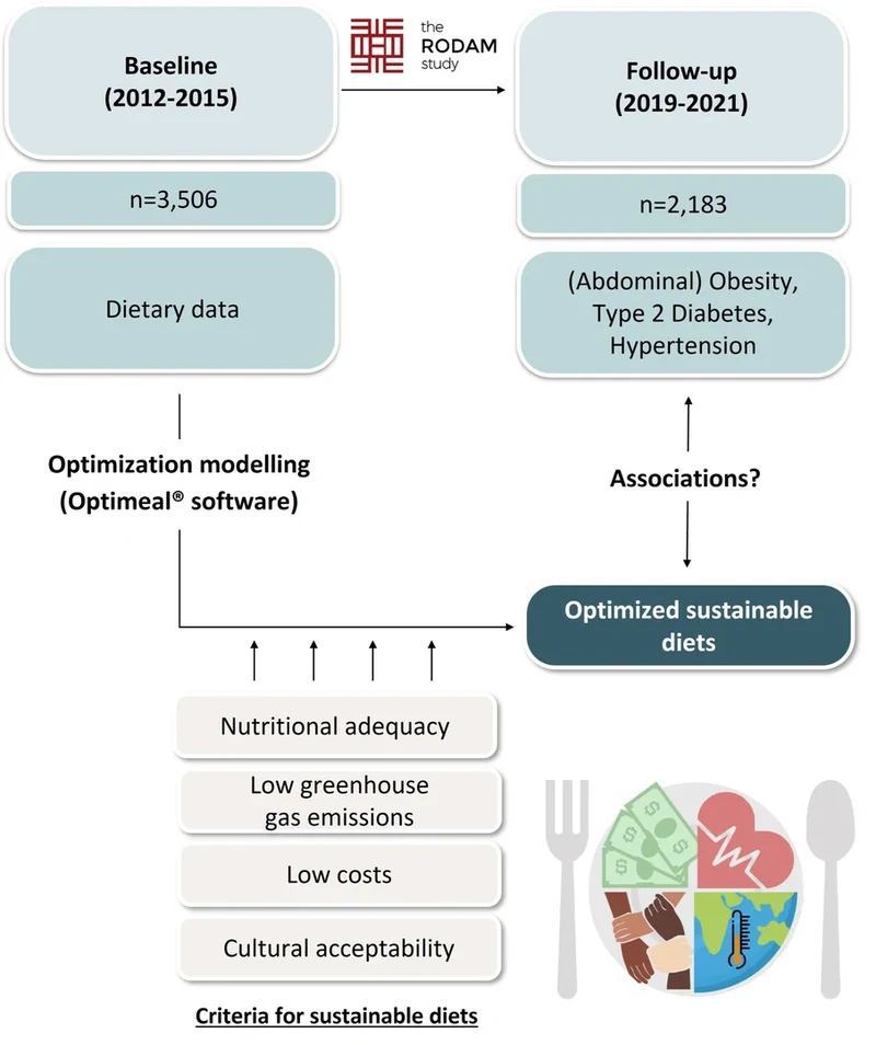 Rodam study overview