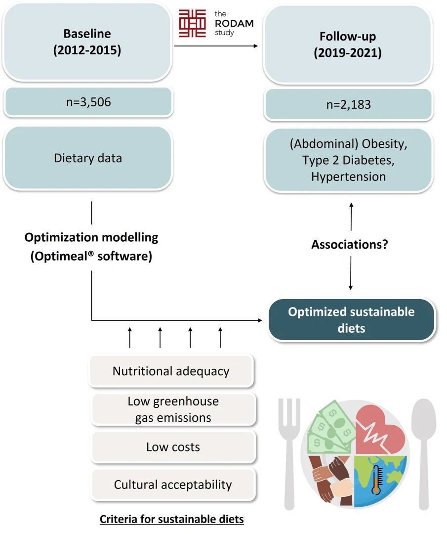 Rodam study overview
